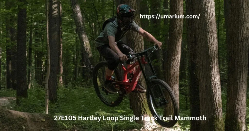 27E105 Hartley Loop Single Track Trail Mammoth