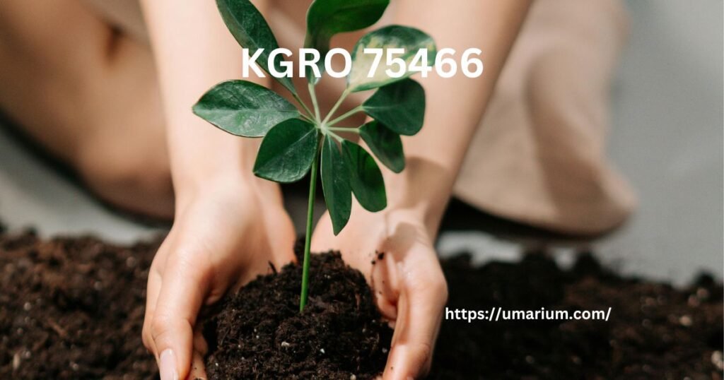 KGRO 75466